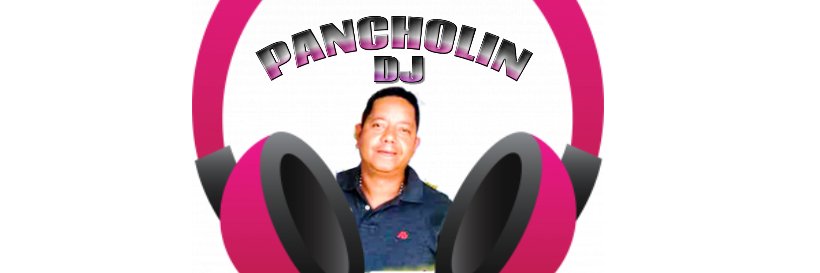 SwingdPancholin's profile banner image