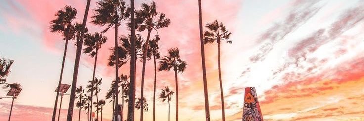 marissaxdexleon's profile banner image