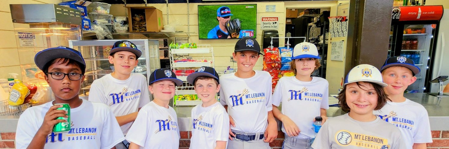 Mt Lebanon Baseball Association banner