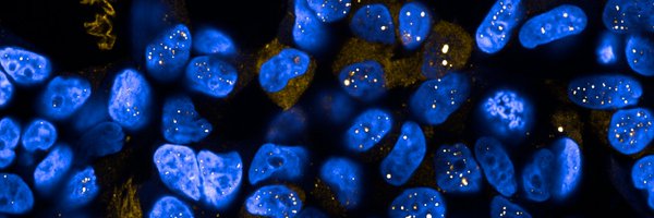 ConstantinouL Profile Banner