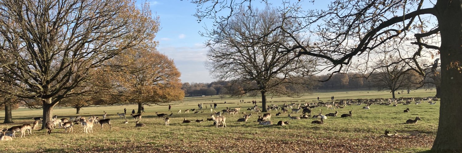 Isabella Lawson banner