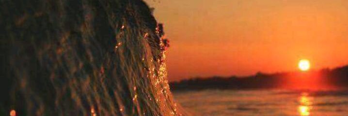 ml_ruffino's profile banner image