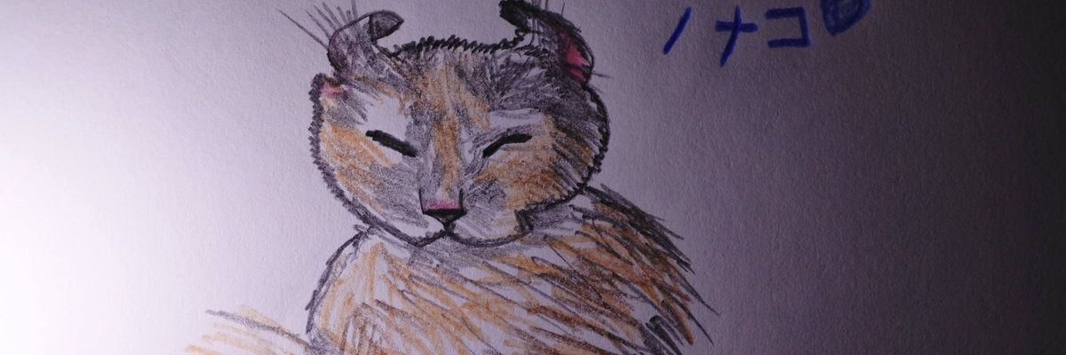 えぅ🐱線維筋痛症's banner