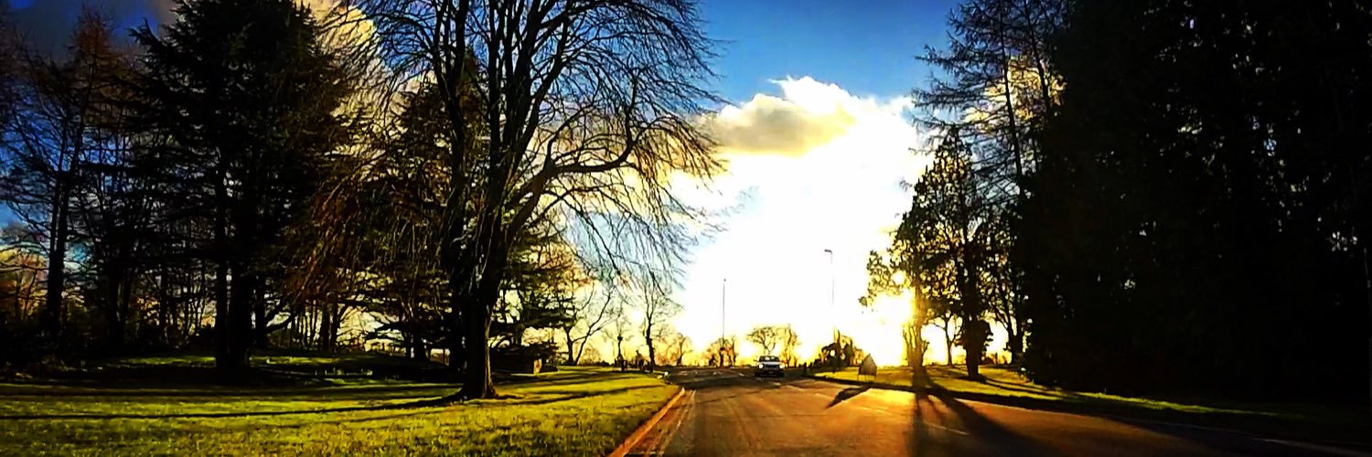 patrychha's profile banner image