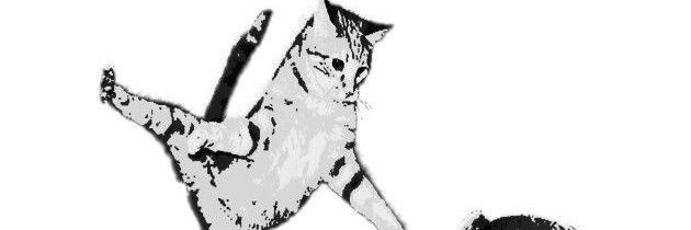 Fran. banner