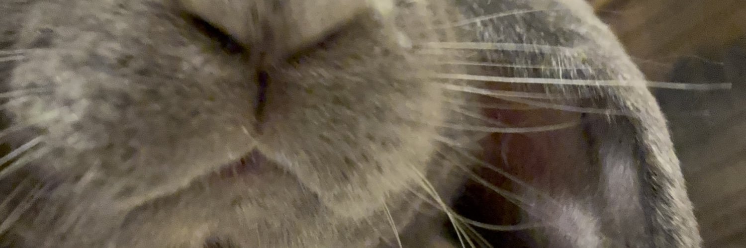 たてミクよこマク banner