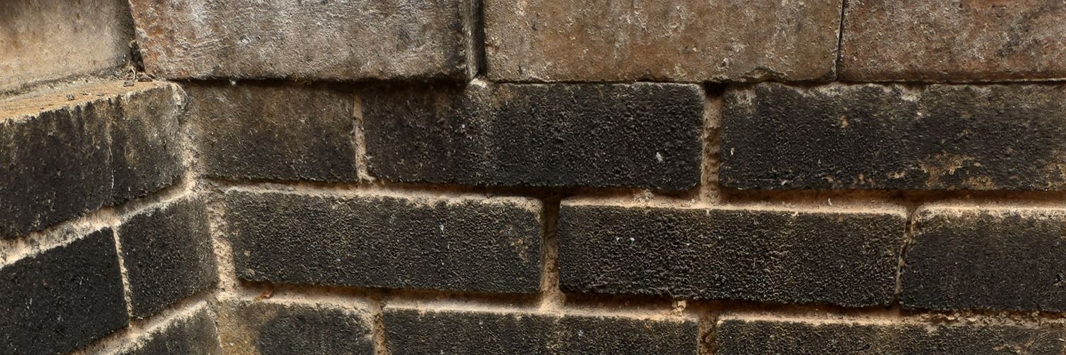 anon banner