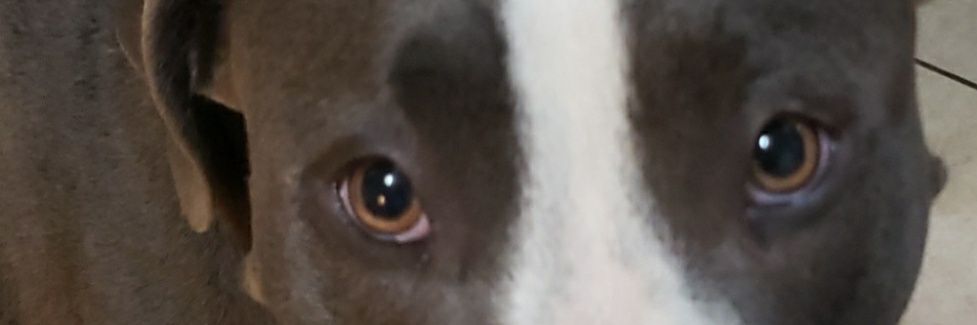 MsPurpleRain's profile banner image