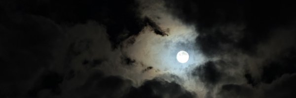 _lonederanger Profile Banner