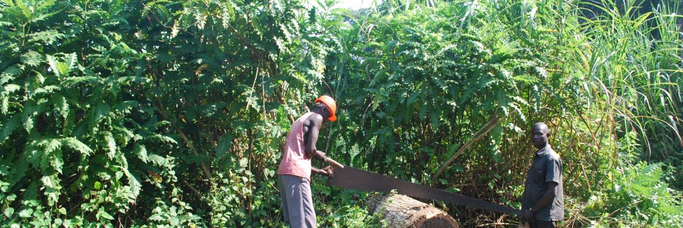 akandole's profile banner image