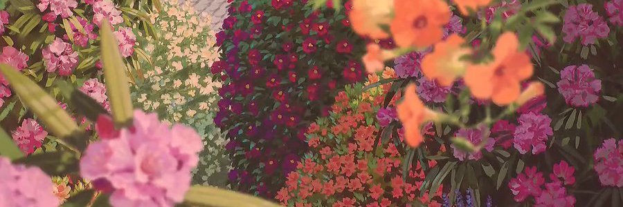 Sunny!!! 🌻🌻's banner