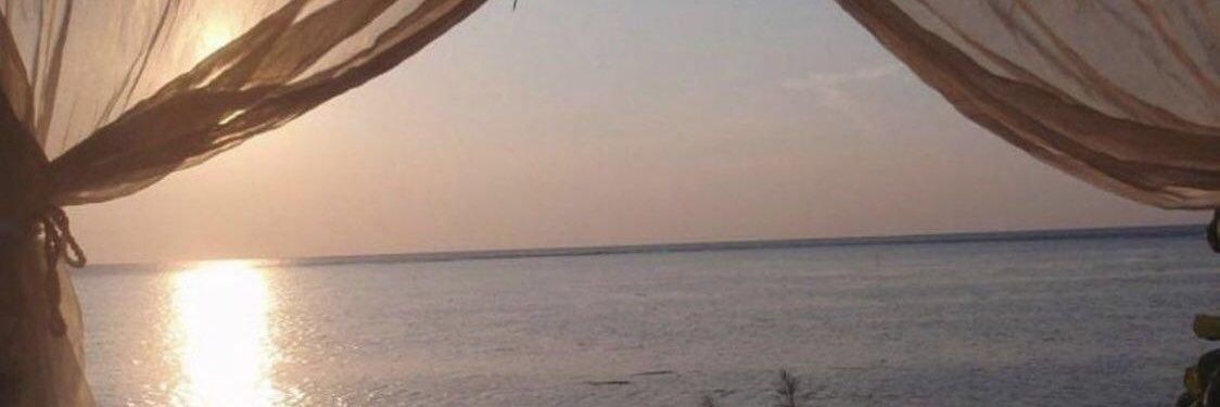 lilym4es's profile banner image