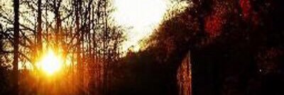 4tapestry7's profile banner image