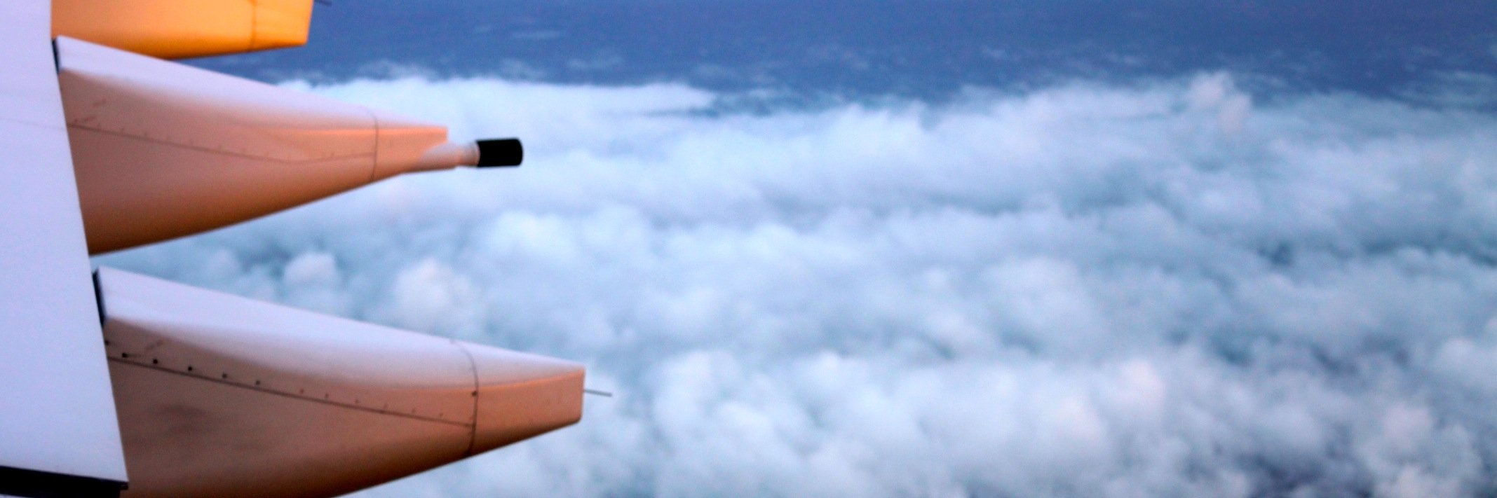 L... banner