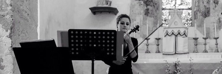 Euterpeviolon's profile banner image