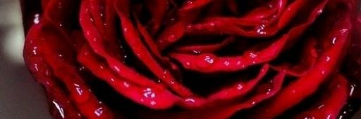 AsiaJ989's profile banner image