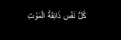 Punkjabi ب💚 banner