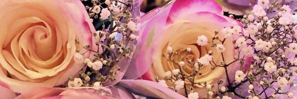 Suize2686's profile banner image