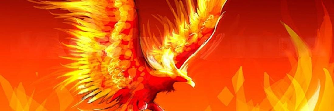 dfsantos1's profile banner image