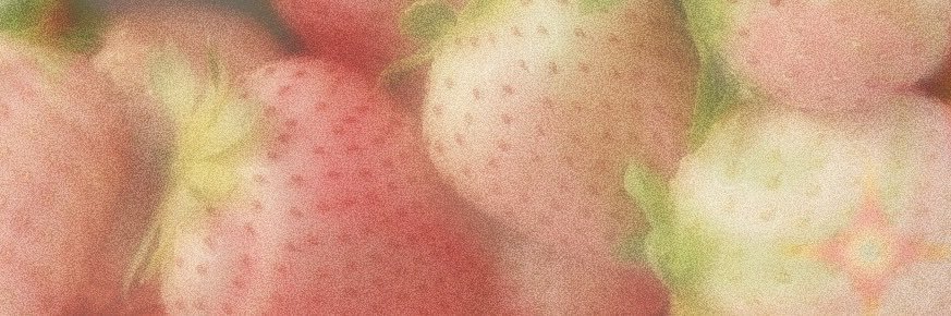 marnie ⋆𐙚₊˚⊹ banner