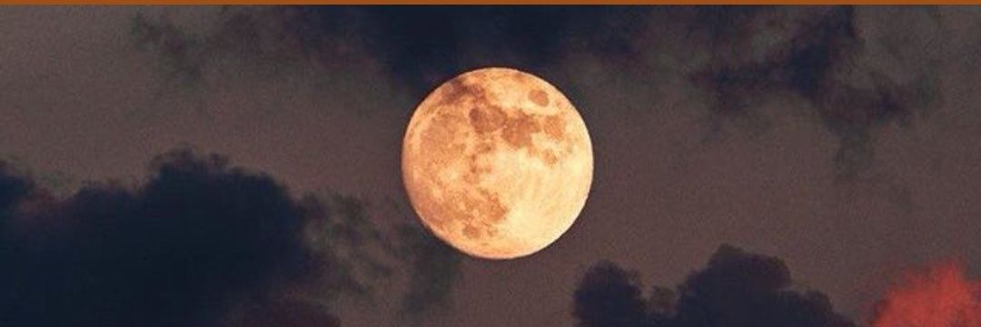 Ebubekir IŞIK banner