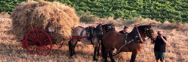 SegaribatreLesGunyoles Profile Banner