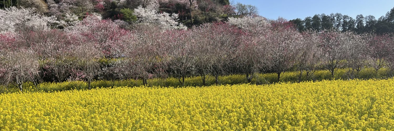 まーちゃん banner