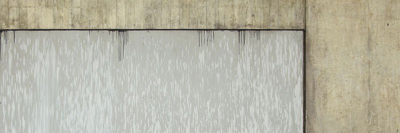 Susanne Goertz banner