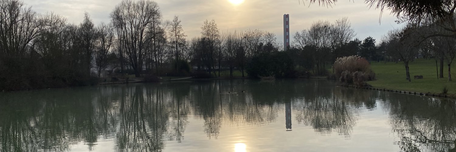 Edwige REAUX (KOSCIANSKI) banner