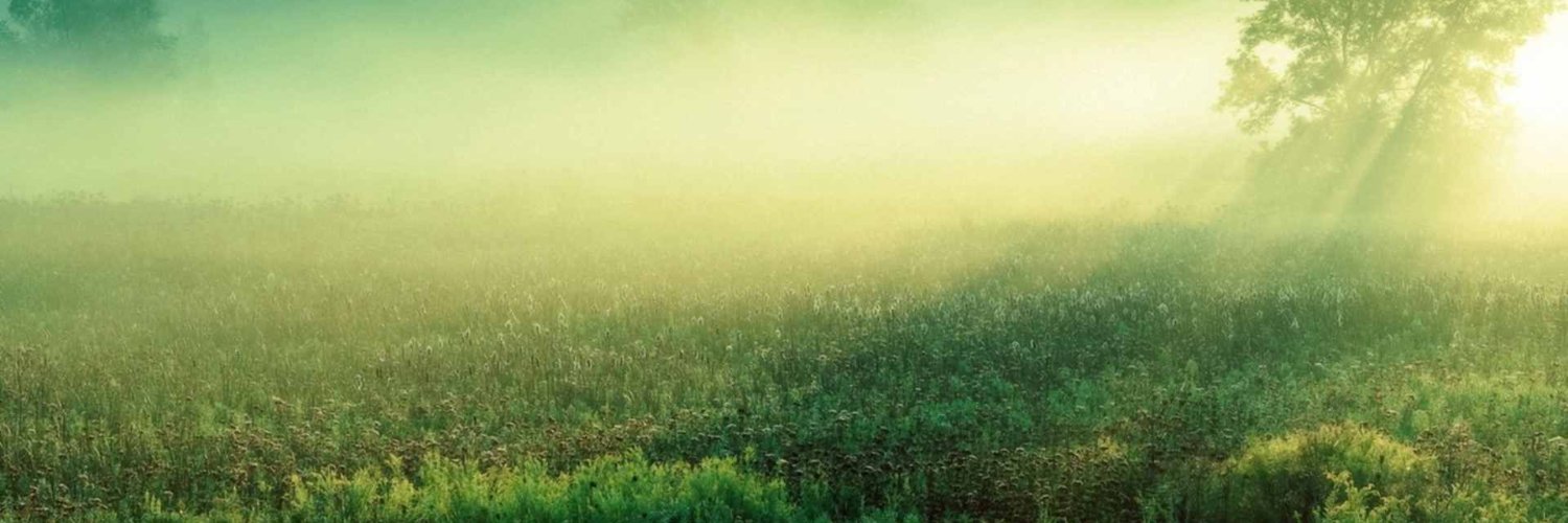 gren_zen_los's profile banner image