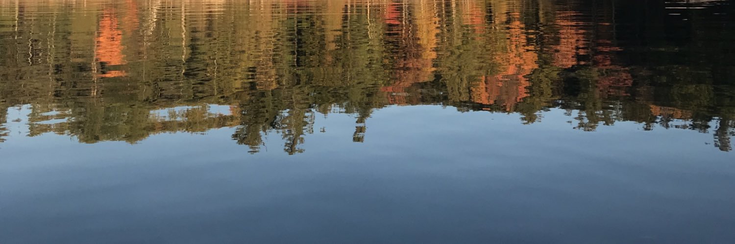 Michael LiGreci banner