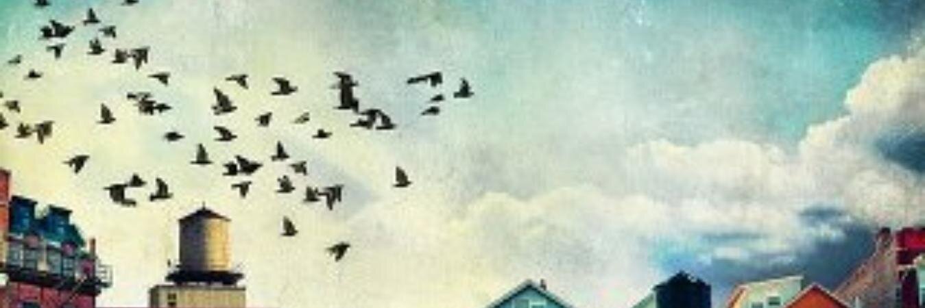 ISILBULUT's profile banner image