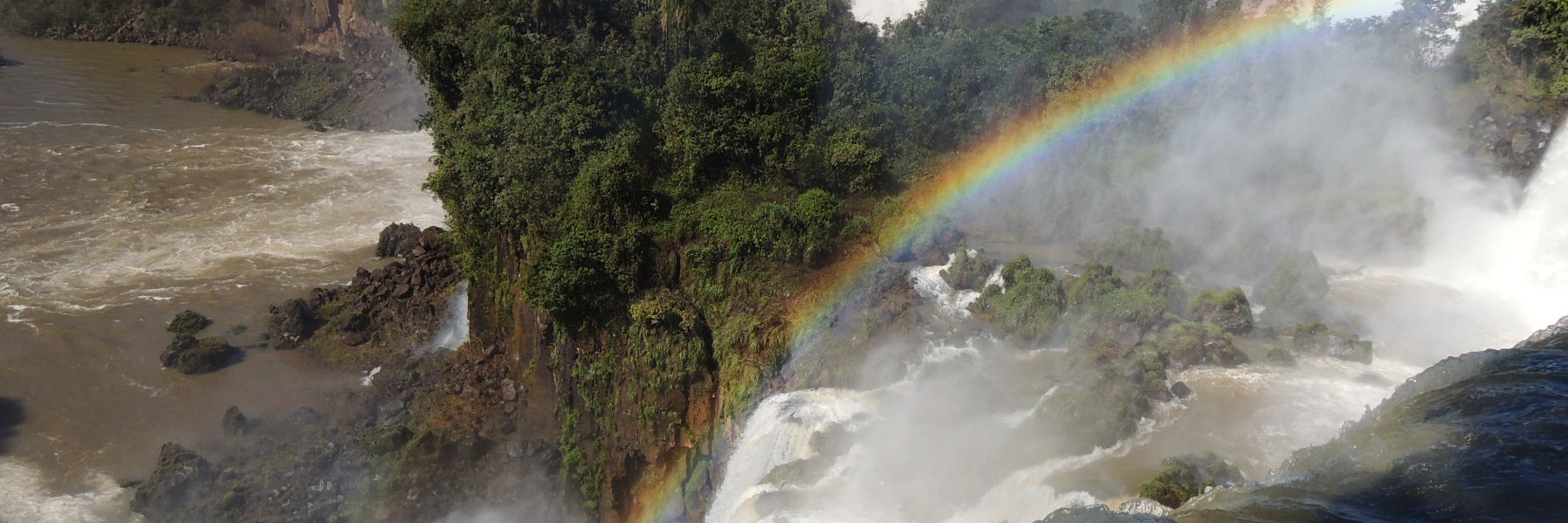 Ellen Toubman banner