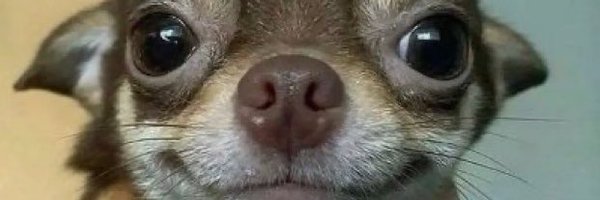 Aoxyfn Profile Banner