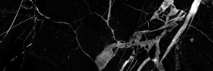 Tolis🏳️‍🌈 banner