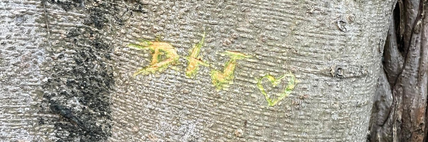 diegogogolboy's profile banner image
