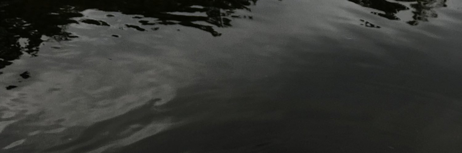 __f0caccia's profile banner image