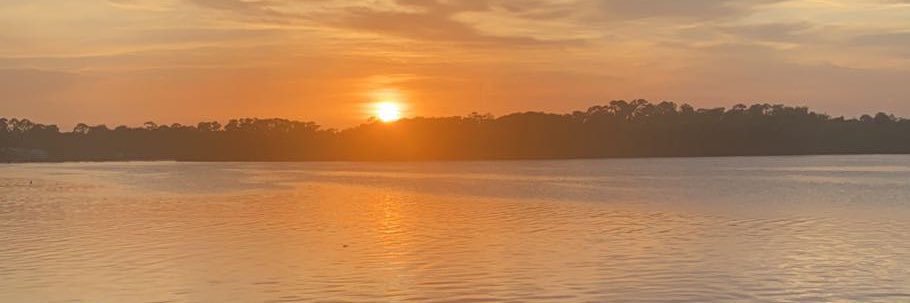 Kaylee Musick banner