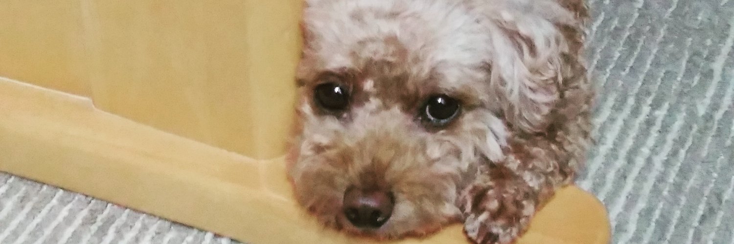 ituki98's profile banner image