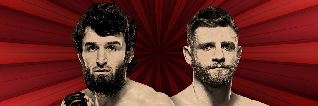 Twitter banner for @UFC243