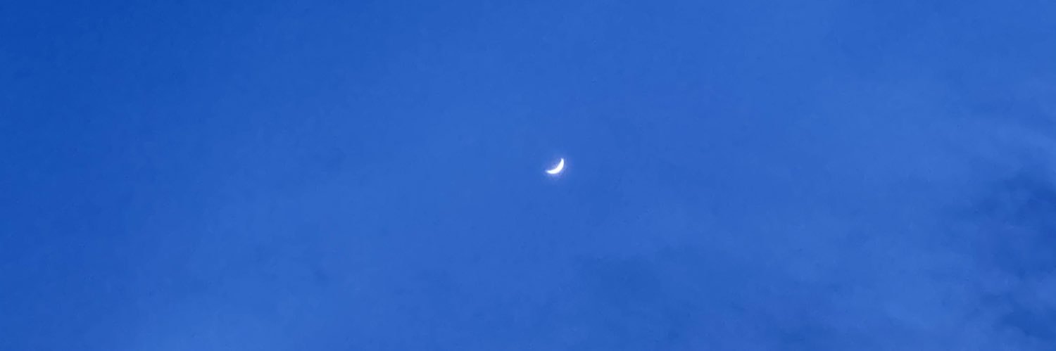 carmensothos's profile banner image