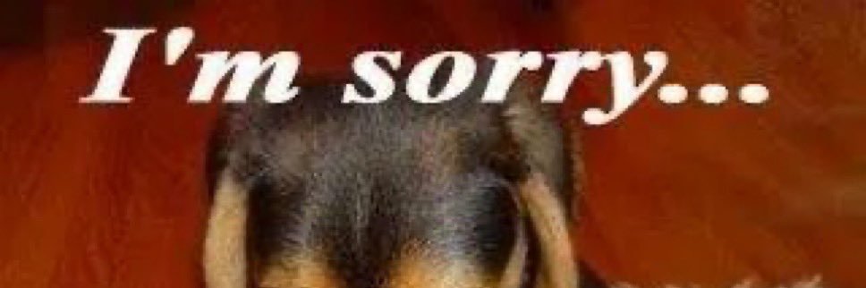nonotutito's profile banner image