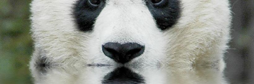 houzitilya's profile banner image