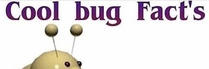 Wooly banner