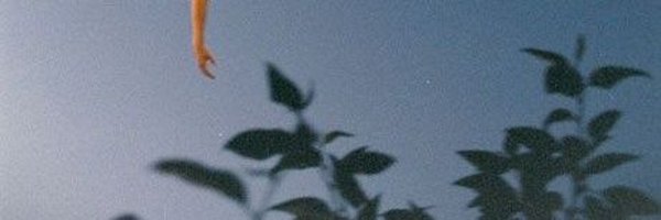 Tabatace Profile Banner