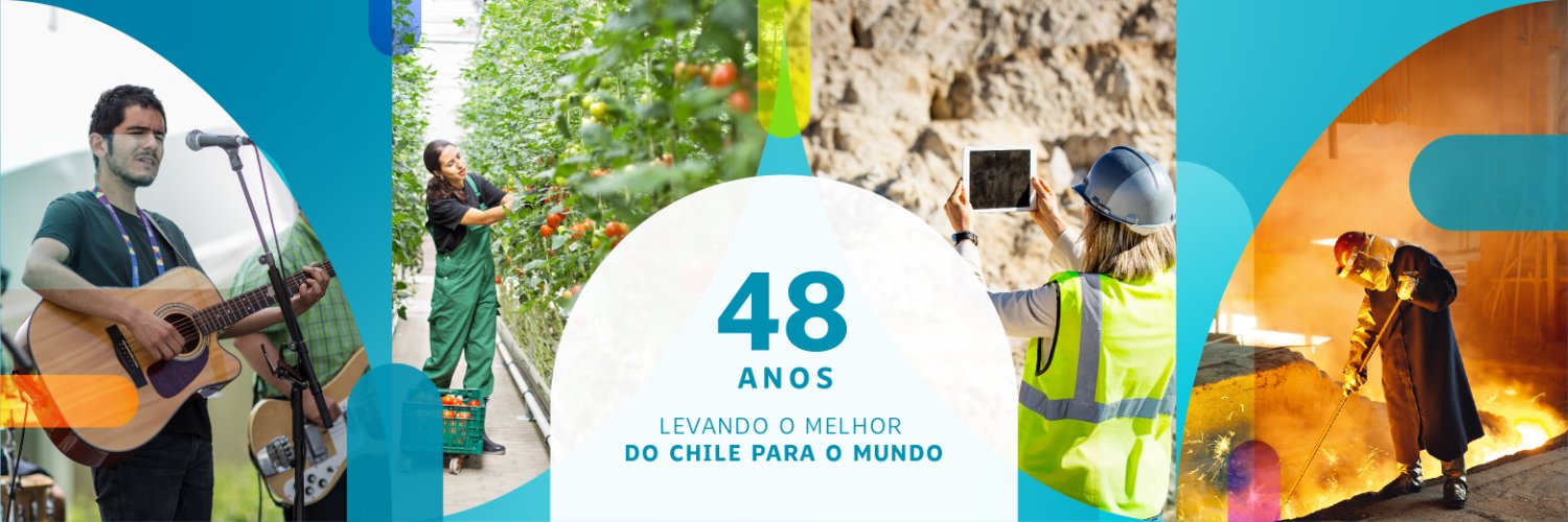 ProChile Brasil banner