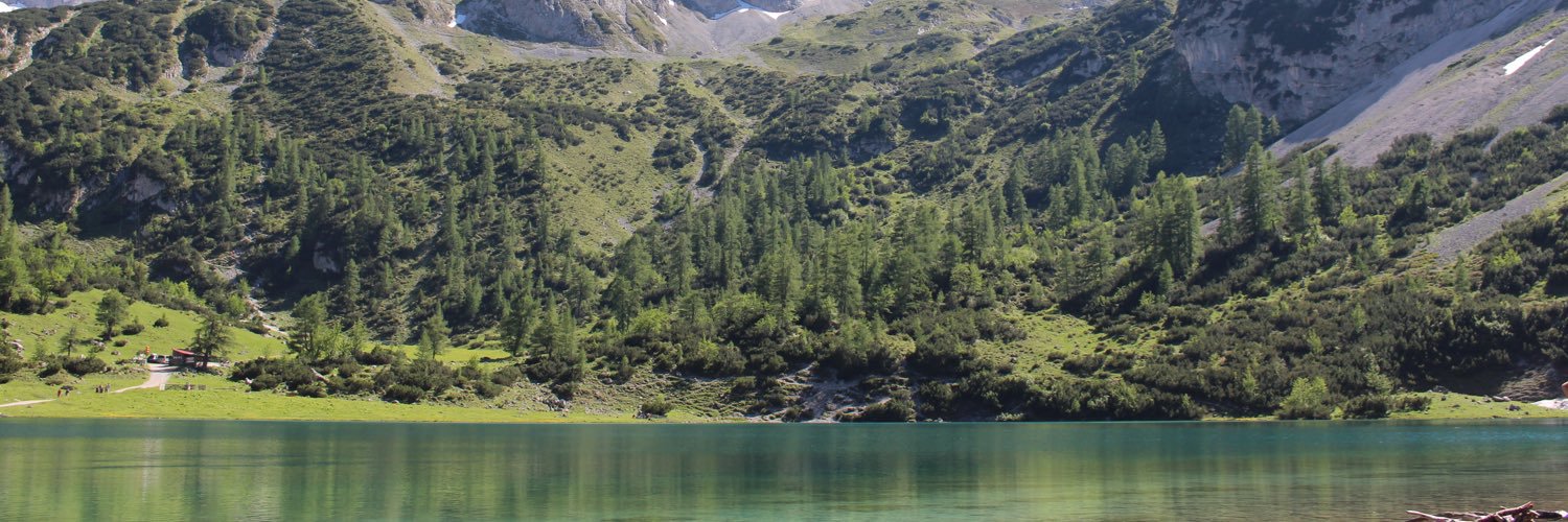 zlighead's profile banner image