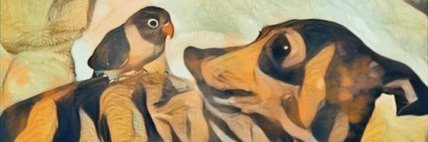 🄲rypto🄵ortune banner