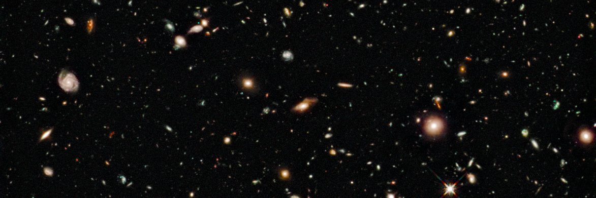 Christian Daflos banner