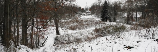 AuroraOH1 Profile Banner